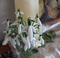 IMG_3462sml