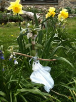 Bridie - the Spring Maiden