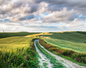 The long and winding path